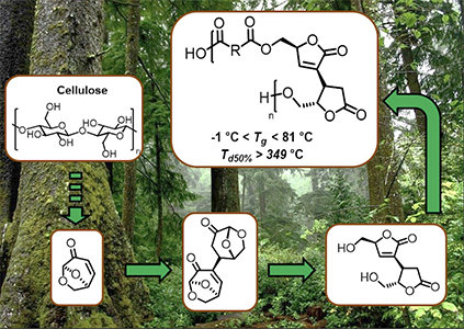 Sustainable synthesis and polycondensation of Levoglucosenone‐Cyrene™‐based bicyclic diol monomer: an access to renewable polyesters