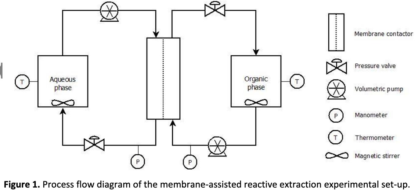 Towards an In Situ Product Recovery of bio‐based 3‐hydroxypropionic acid: influence of bioconversion broth components on membrane‐assisted reactive extraction 