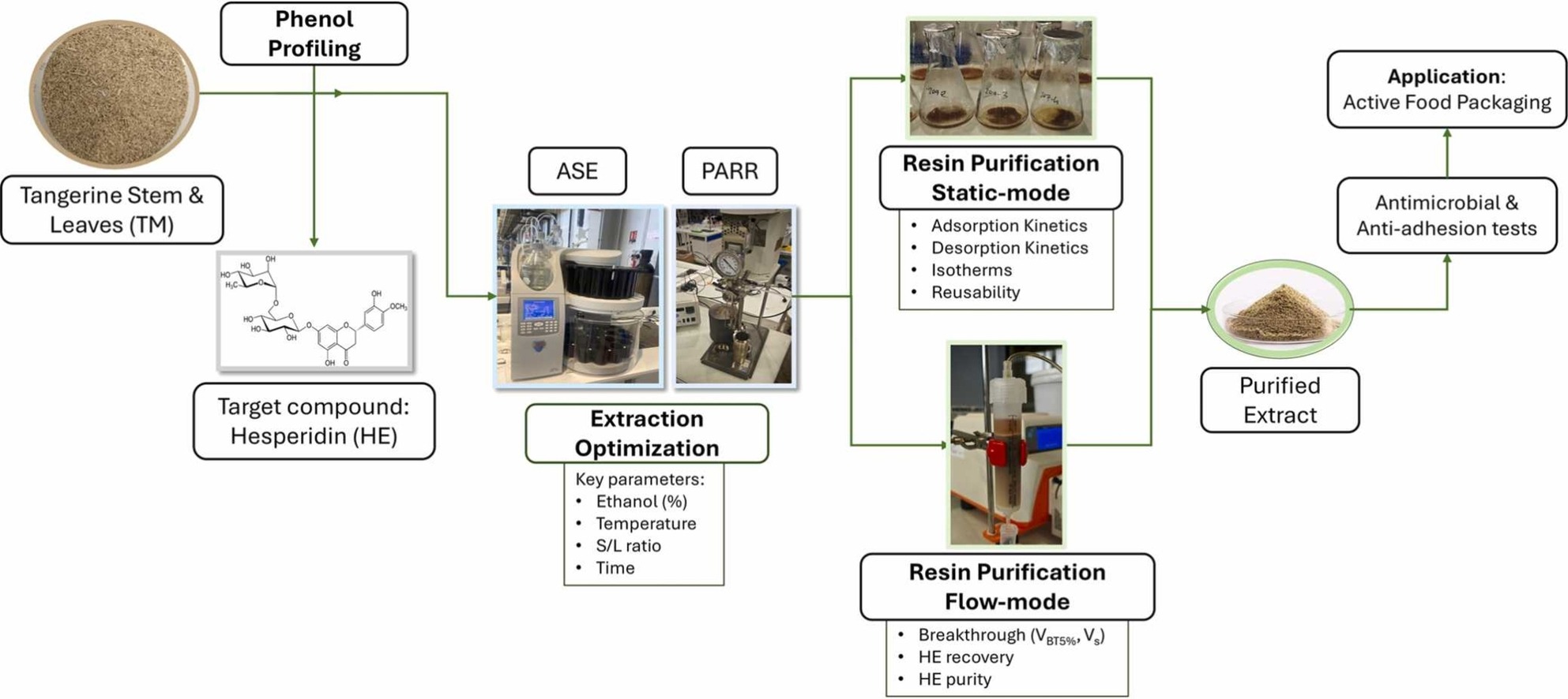 Hesperidin-enriched extracts for active food packaging from tangerine agro-industrial by-products using subcritical water extraction and resin purification