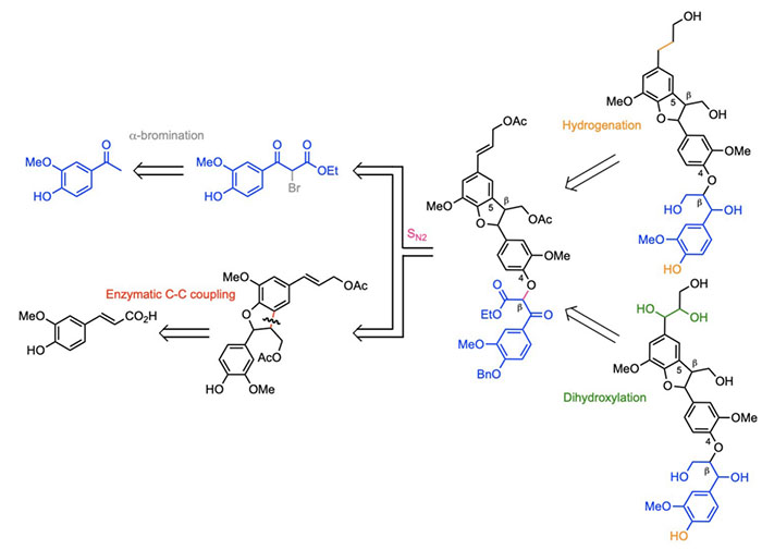 First Total Synthesis of (β-5)-(β-O-4) Dihydroxytrimer and Dihydrotrimer of Coniferyl Alcohol (G): Advanced Lignin Model Compounds
