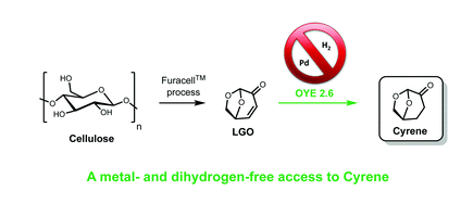 Enzymatic reduction of levoglucosenone by an alkene reductase (OYE 2.6): a sustainable metal- and dihydrogen-free access to the bio-based solvent Cyrene®