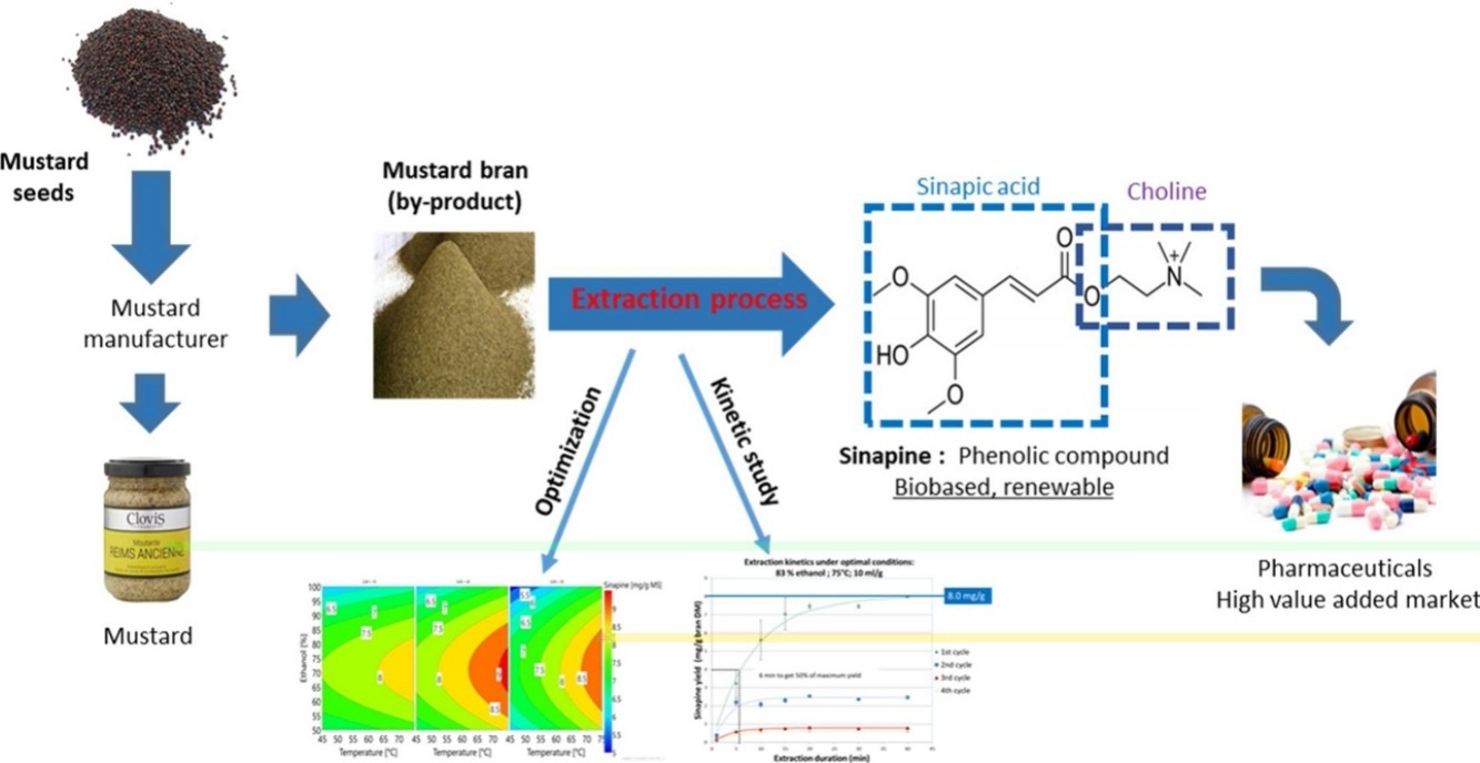 Optimization of an ethanol/water based sinapine extraction from mustard bran using Response Surface Methodology