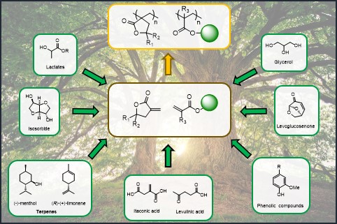 Synthesis and polymerization of bio-based acrylates: a review