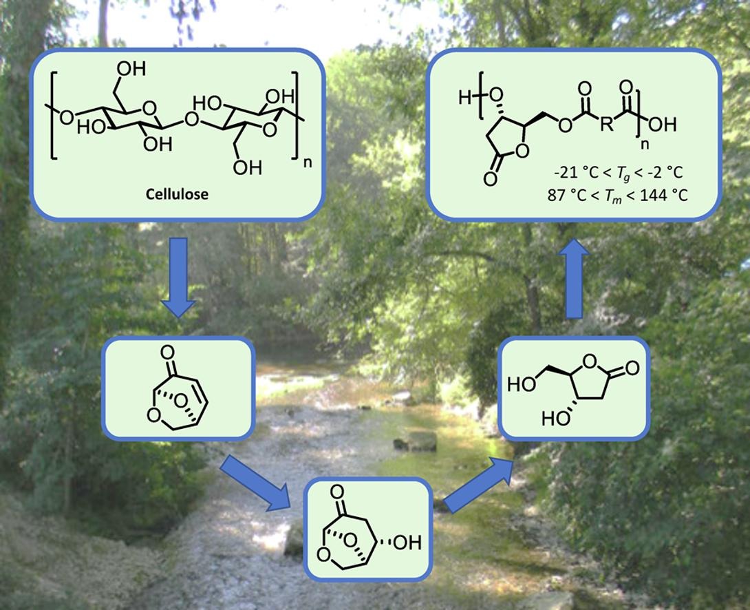 Green synthesis of 2-deoxy-D-ribonolactone from cellulose-derived levoglucosenone (LGO): a promising monomer for novel bio-based polyesters