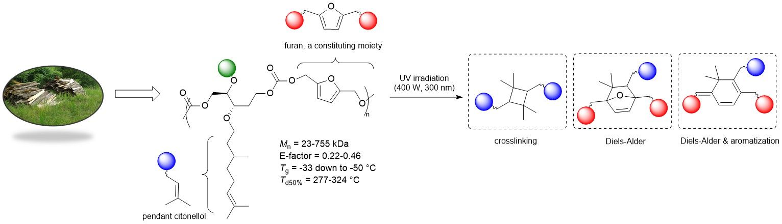 Green Synthesis of UV-Reactive Polycarbonates from Levoglucosenone And 5-Hydroxymethyl Furfural