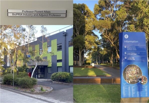 Annual 2 week-stay of our director at Monash University