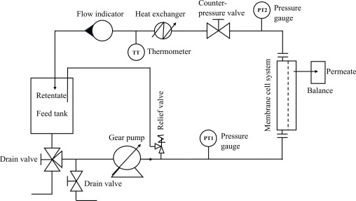 Recovery of sinapic acid from mustard bran enzymatic hydrolysate combining membrane filtration and adsorption chromatography