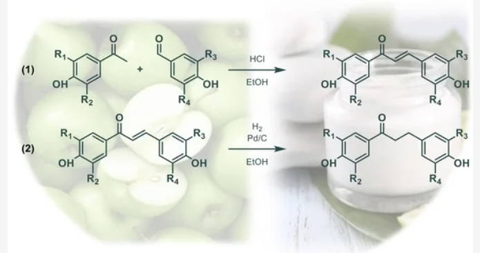 Synthesis of Biobased Phloretin Analogues: An Access to Antioxidant and Anti-Tyrosinase Compounds for Cosmetic Applications