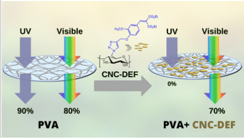 Phenolic Ester-Decorated Cellulose Nanocrystals as UV-Absorbing Nanoreinforcements in Polyvinyl Alcohol Films