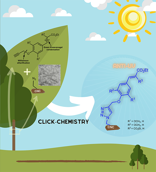 Grafting Nature‐Inspired and Bio‐Based Phenolic Esters onto Cellulose Nanocrystals Gives Biomaterials with Photostable Anti‐UV Properties