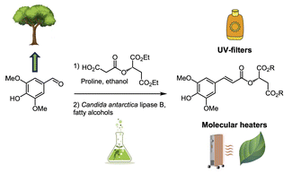 An expeditive and green chemo-enzymatic route to diester sinapoyl-l-malate analogues: sustainable bioinspired and biosourced UV filters and molecular heaters