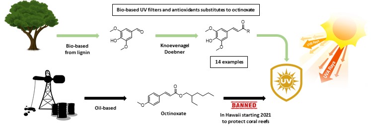 Sinapic Acid Esters: Octinoxate Substitutes Combining Suitable UV Protection and Antioxidant Activity