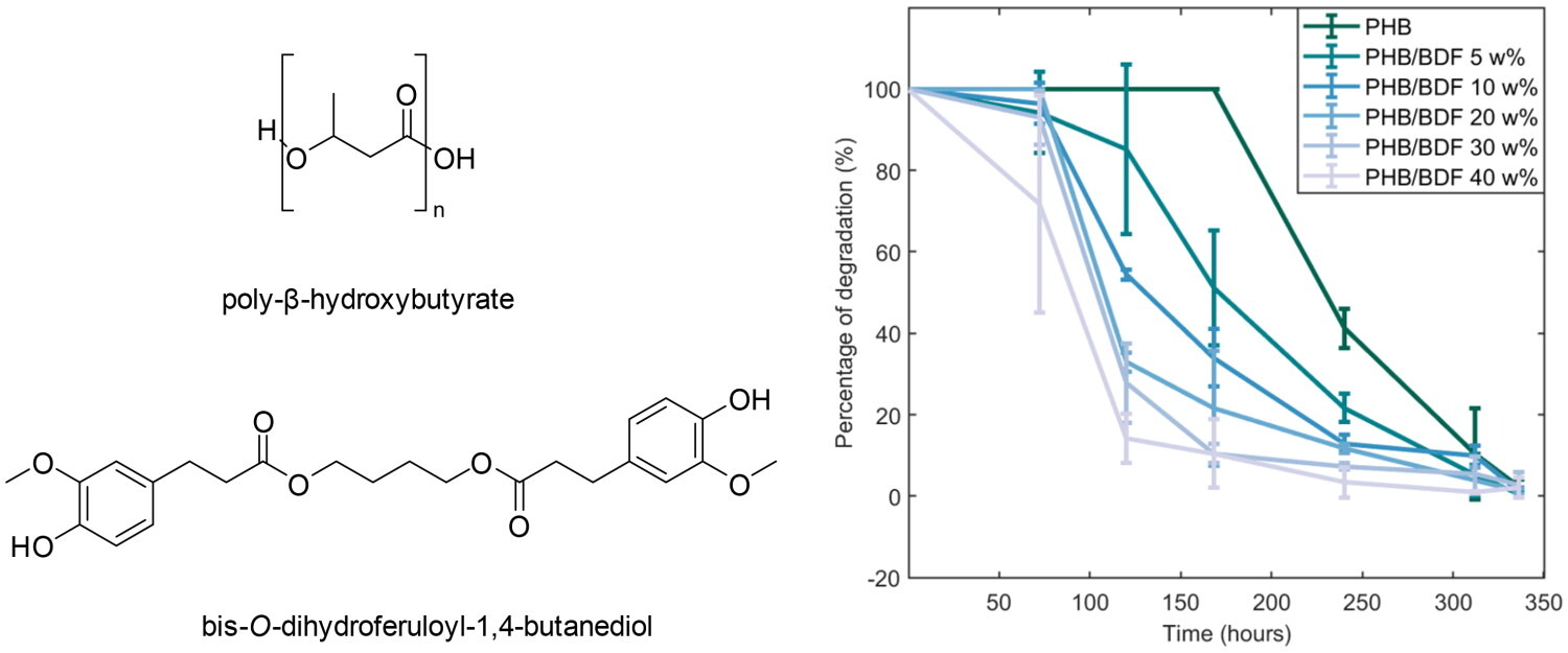 From concept to reality: current trends in developing tunable biopolymeric materials for food contact applications